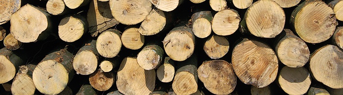 Service Holzscheite